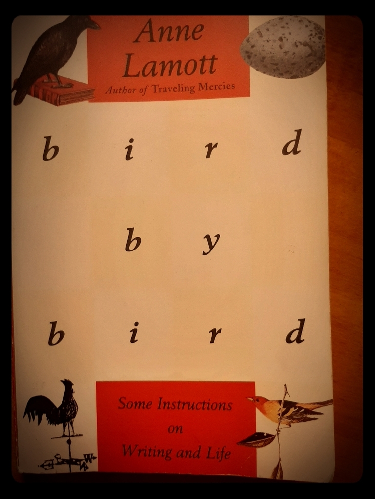 bird by bird: by Anne Lamont